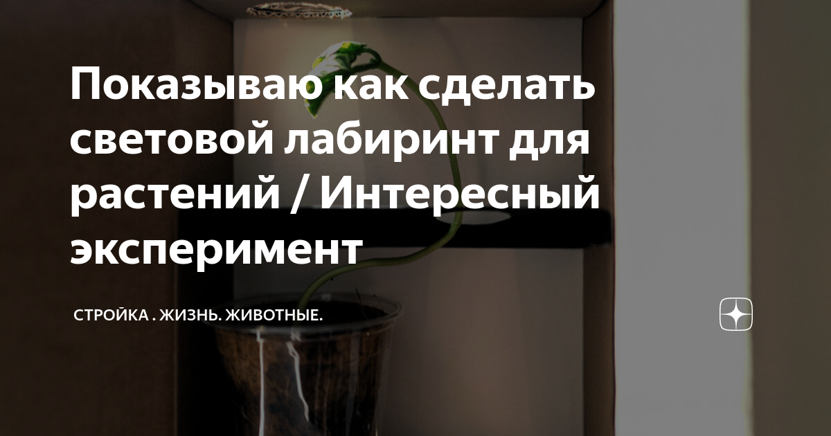 Десять красивых опытов, которые вы можете провести дома вместе с детьми