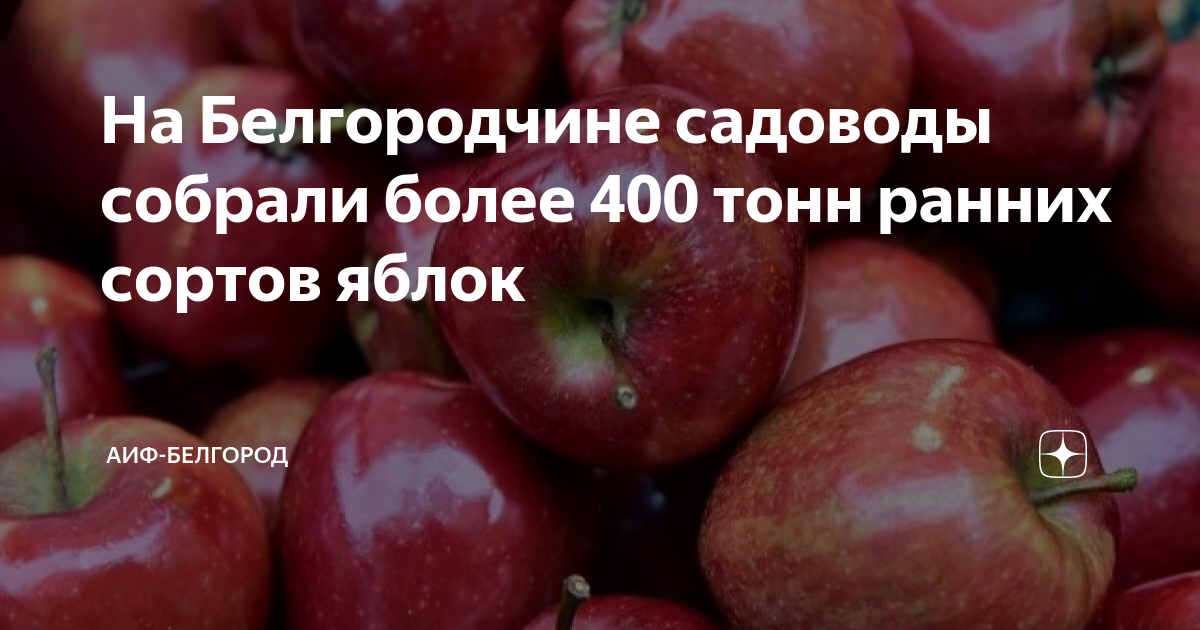 Садоводы собрали 85 тонн яблок трех сортов Садоводы собрали 85 тонн яблок трех сортов