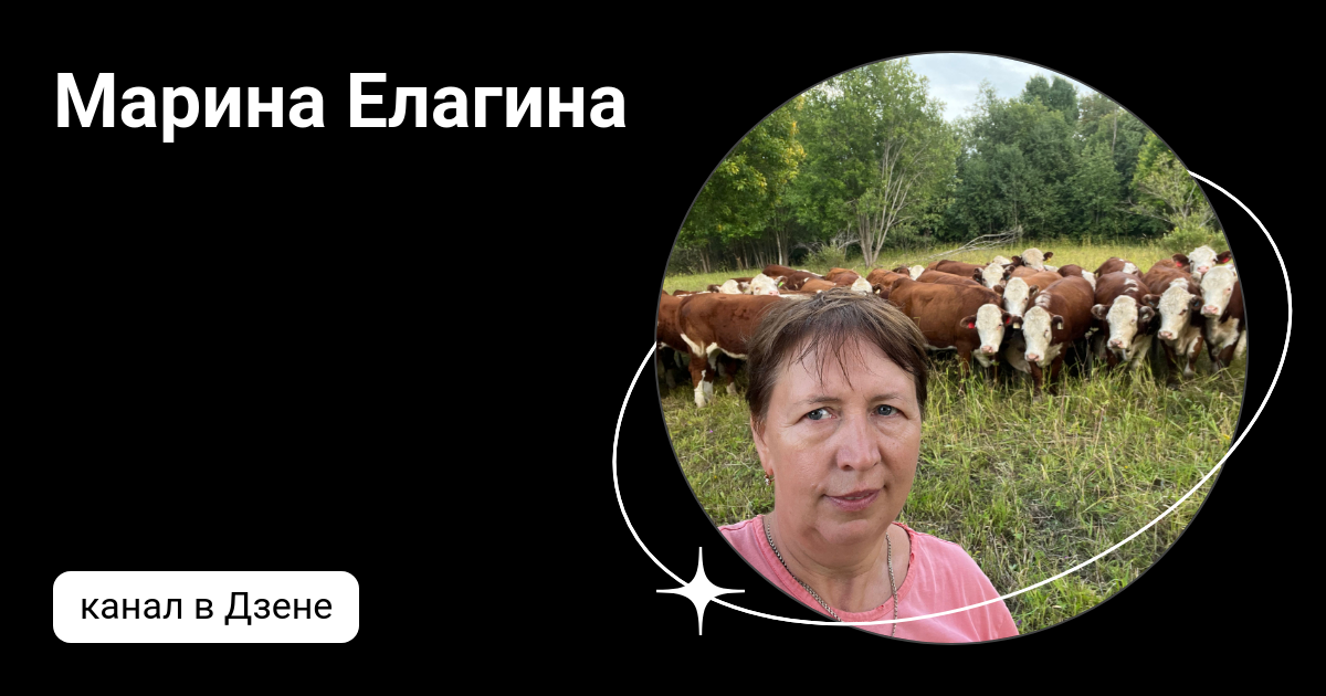 Марина Елагина | Дзен