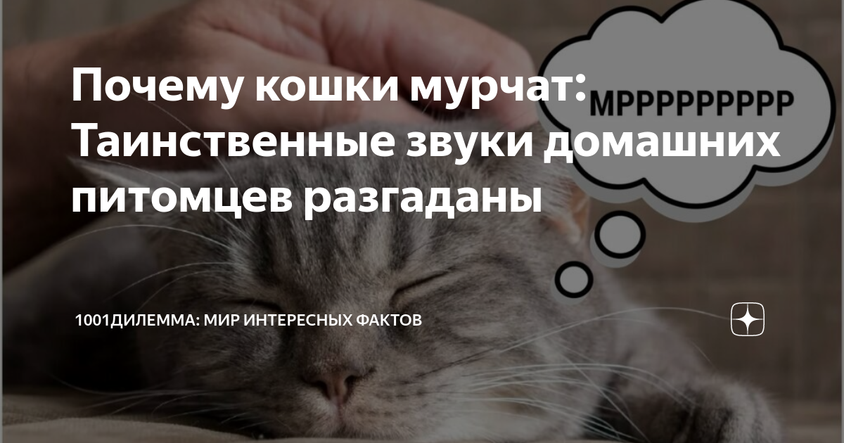 Установление социальной связи с людьми