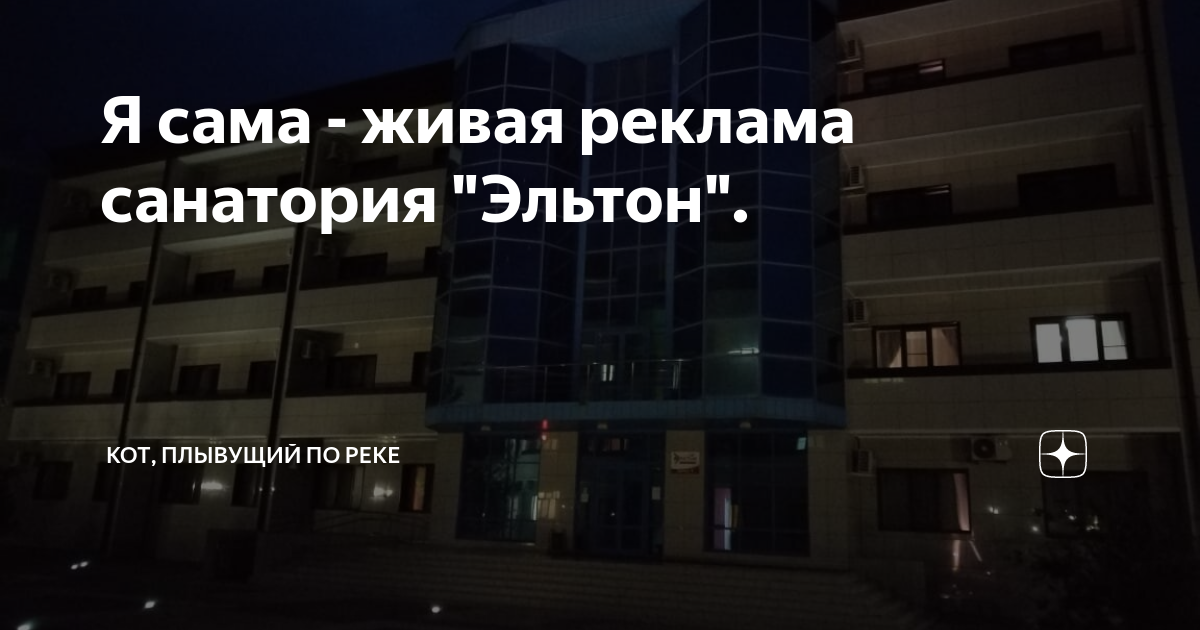 Я сама - живая реклама санатория "Эльтон". | Кот, плывущий по реке | Дзен