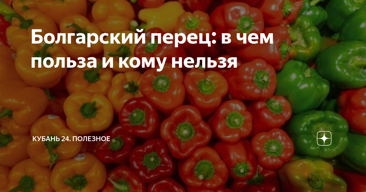 Болгарский перец: в чем польза и кому нельзя | Кубань 24. Полезное | Дзен