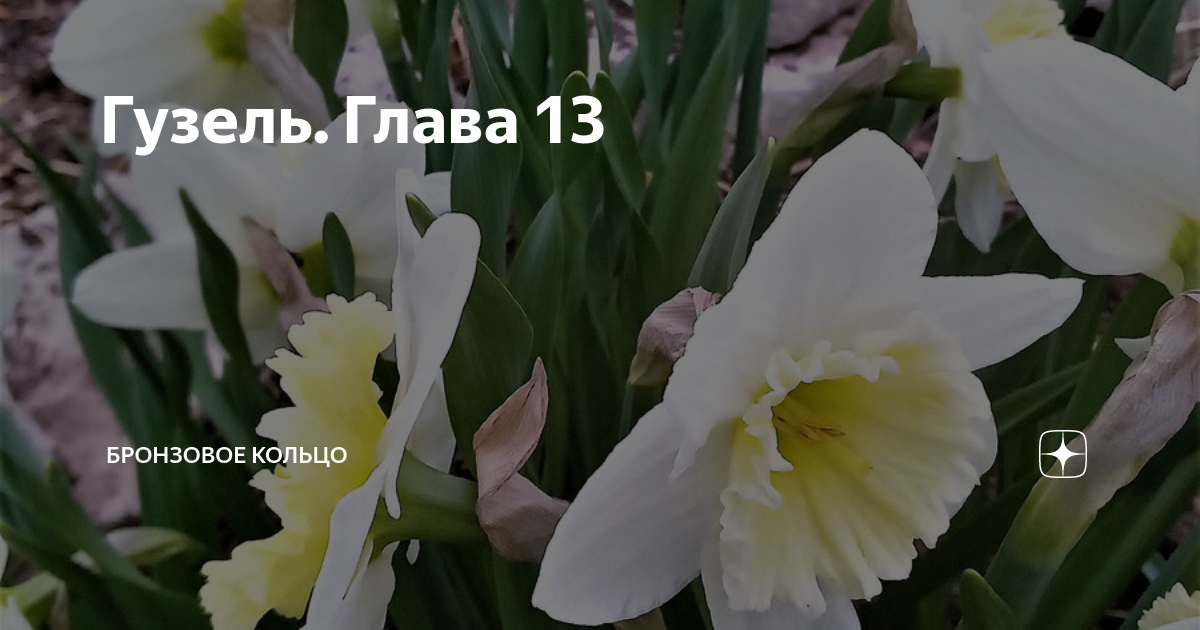 Гузель. Глава 13 | Бронзовое кольцо | Дзен