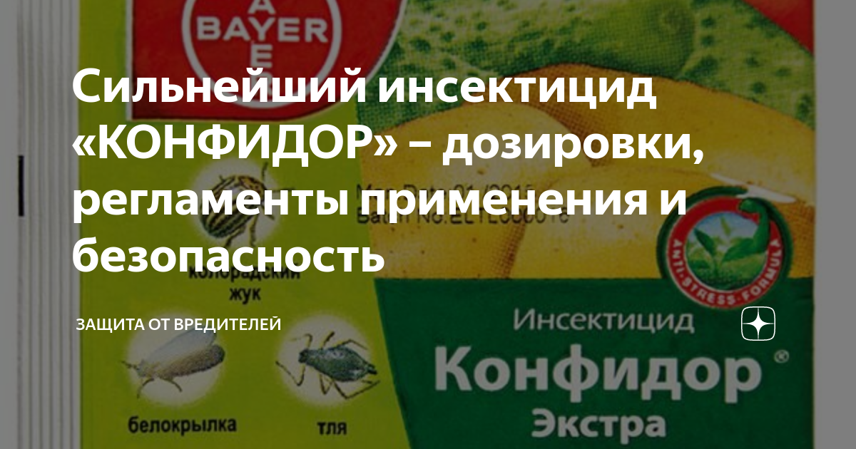 Конфидор экстра инструкция по применению Конфидор экстра инструкция по применению