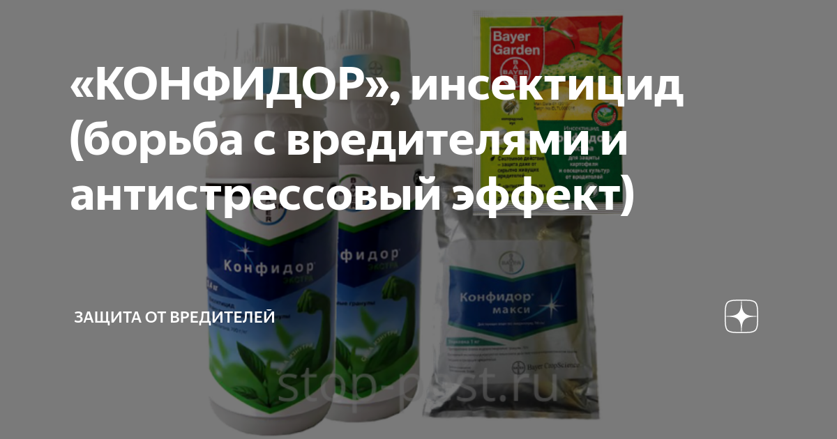 Конфидор экстра инструкция по применению Конфидор экстра инструкция по применению