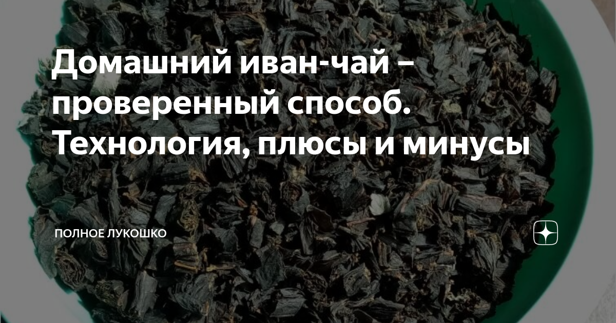 Иван-чай: польза и вред, как заваривать, советы диетолога