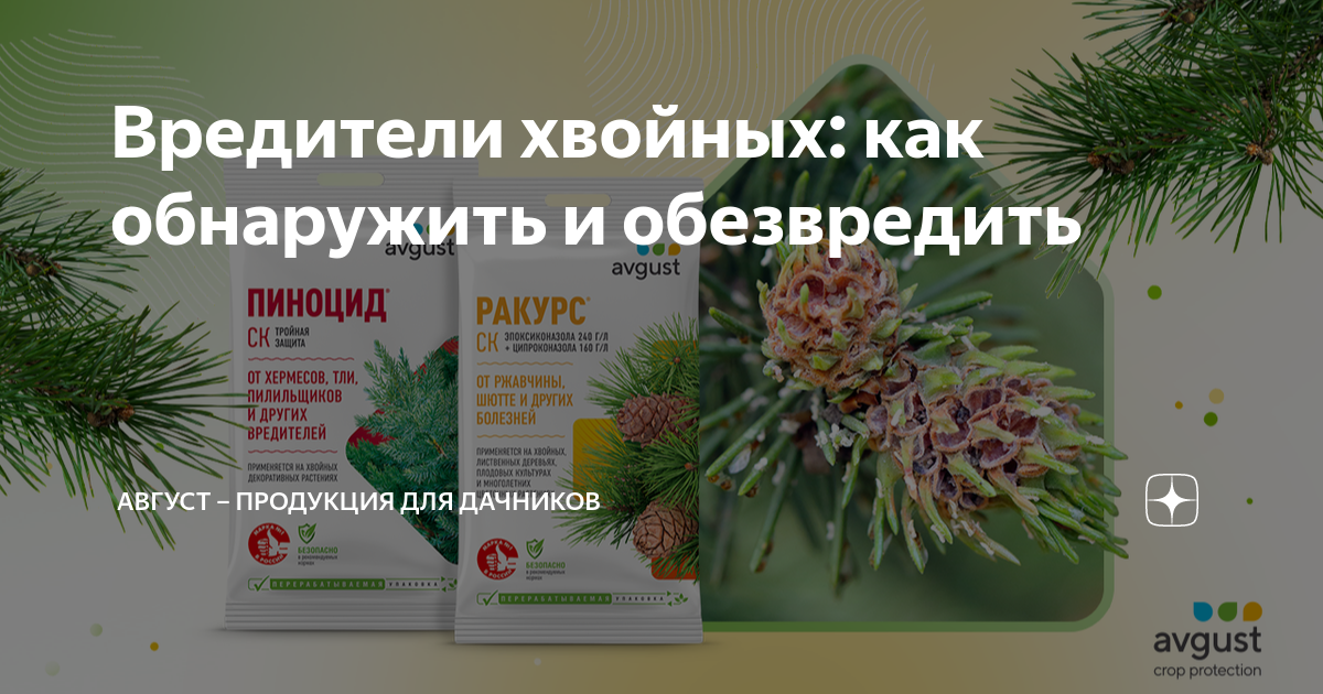 Препарат от вредителей хвойных