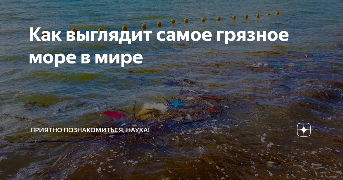 Как выглядит самое грязное море в мире | Приятно познакомиться, Наука ...