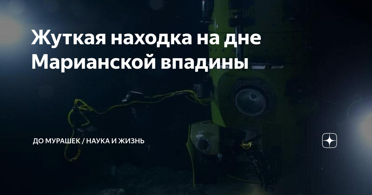 Жуткие находки на дне марианской впадины