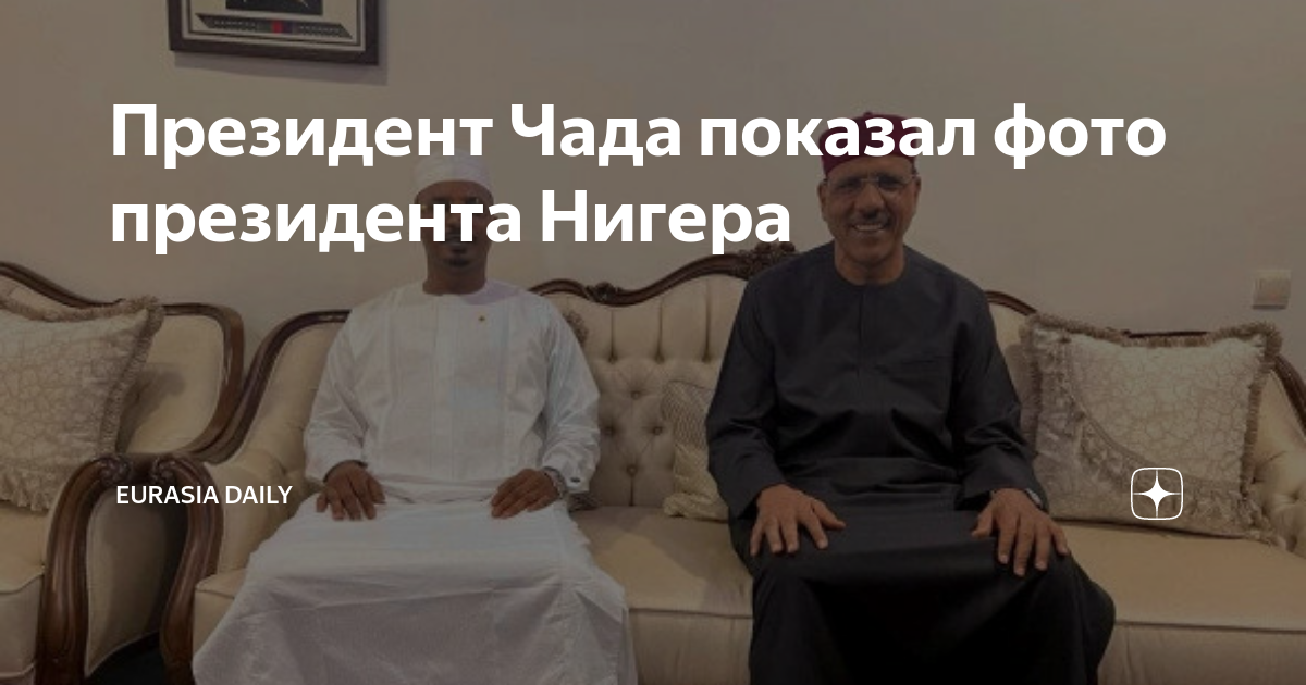 государственный переворот в африке. переходный период чад. россия в переходный период. переходный период чад. мохамед базум фото.