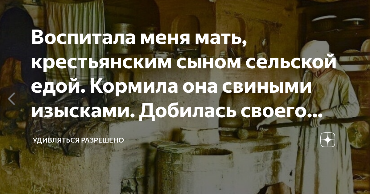 Воспитала меня мать, крестьянским сыном сельской едой. Кормила она ...
