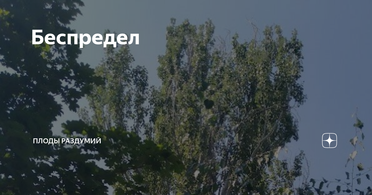 Беспредел | Плоды раздумий | Дзен