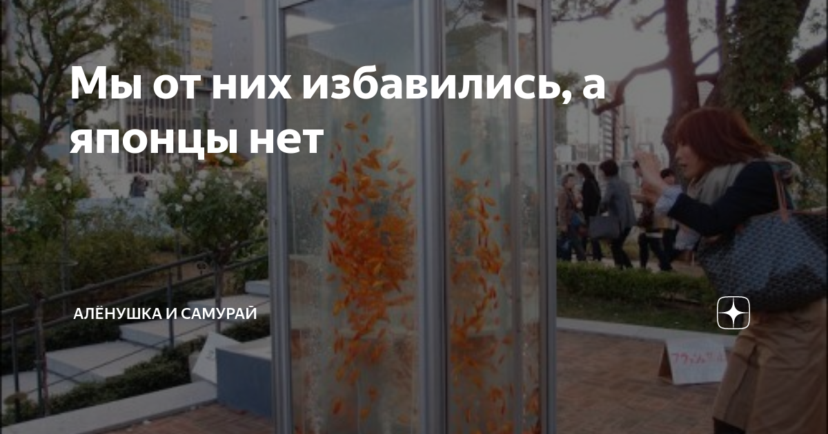 Мы от них избавились, а японцы нет | Алёнушка и самурай | Дзен