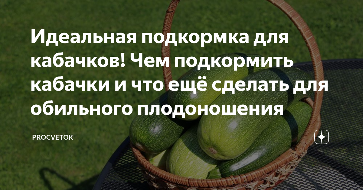 как давать кабачок прикорм
