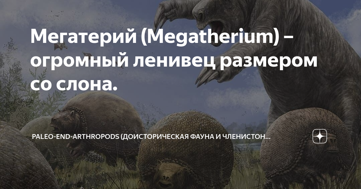 Мегатерий (Megatherium) – огромный ленивец размером со слона. | Paleo ...