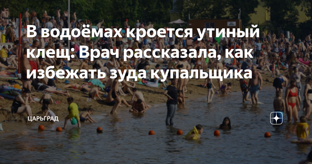 В Орле и области с начала сезона клещи покусали 22 ребенка - KP.RU