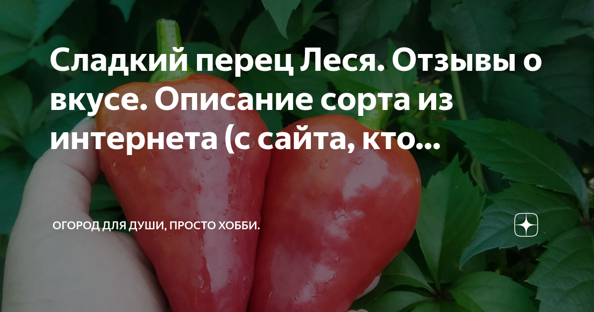 Перец леся (сладкий): описание сорта, фото, отзывы и урожайность