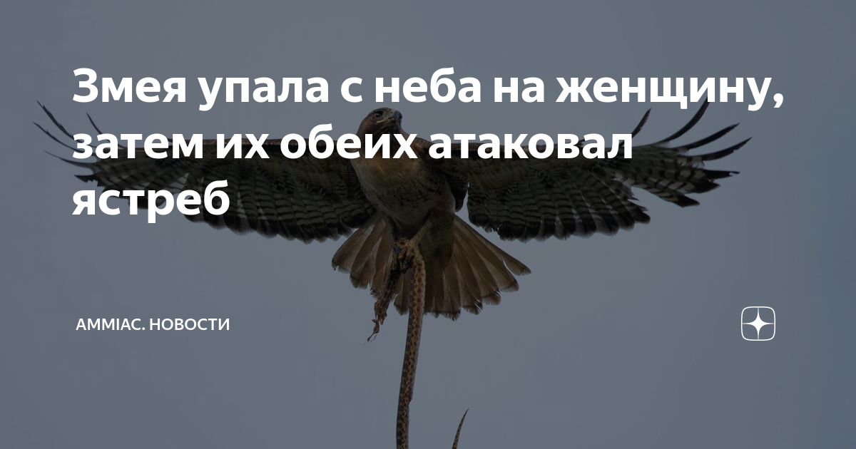 змея заползла в дом примета