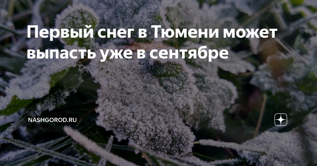 когда в томске выпадет снег