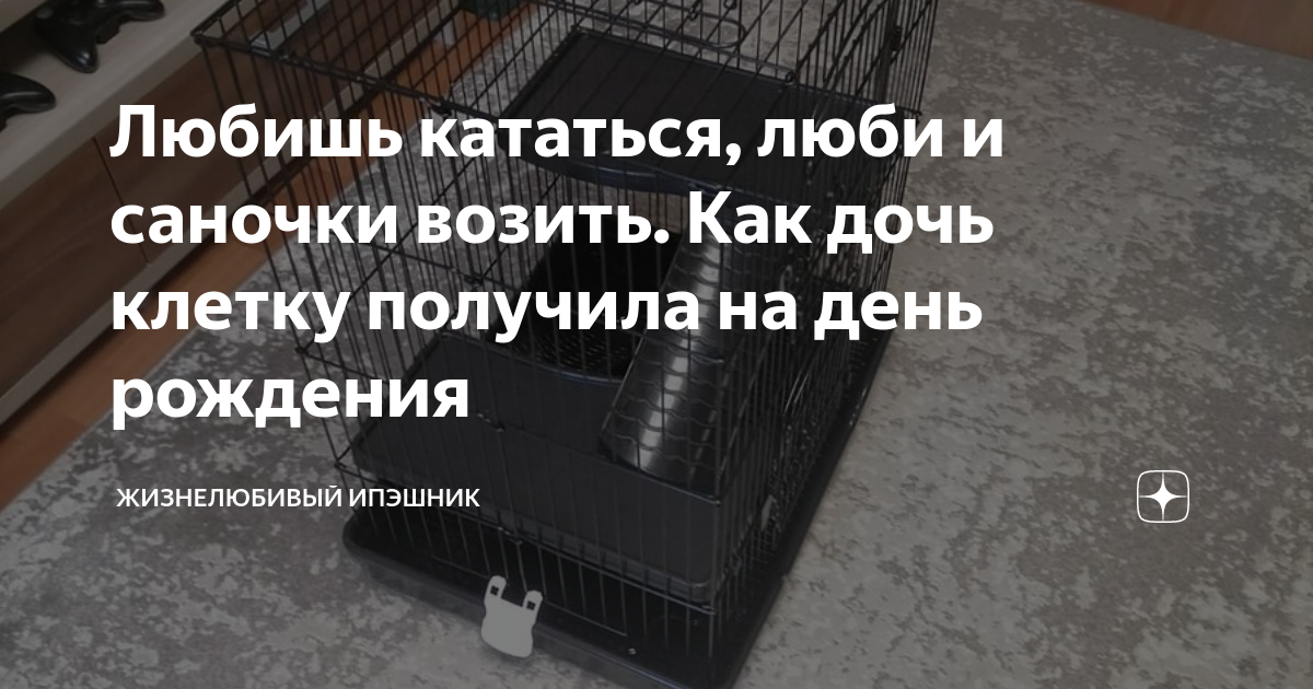 Любишь кататься, люби и саночки возить. Как дочь клетку получила на ...