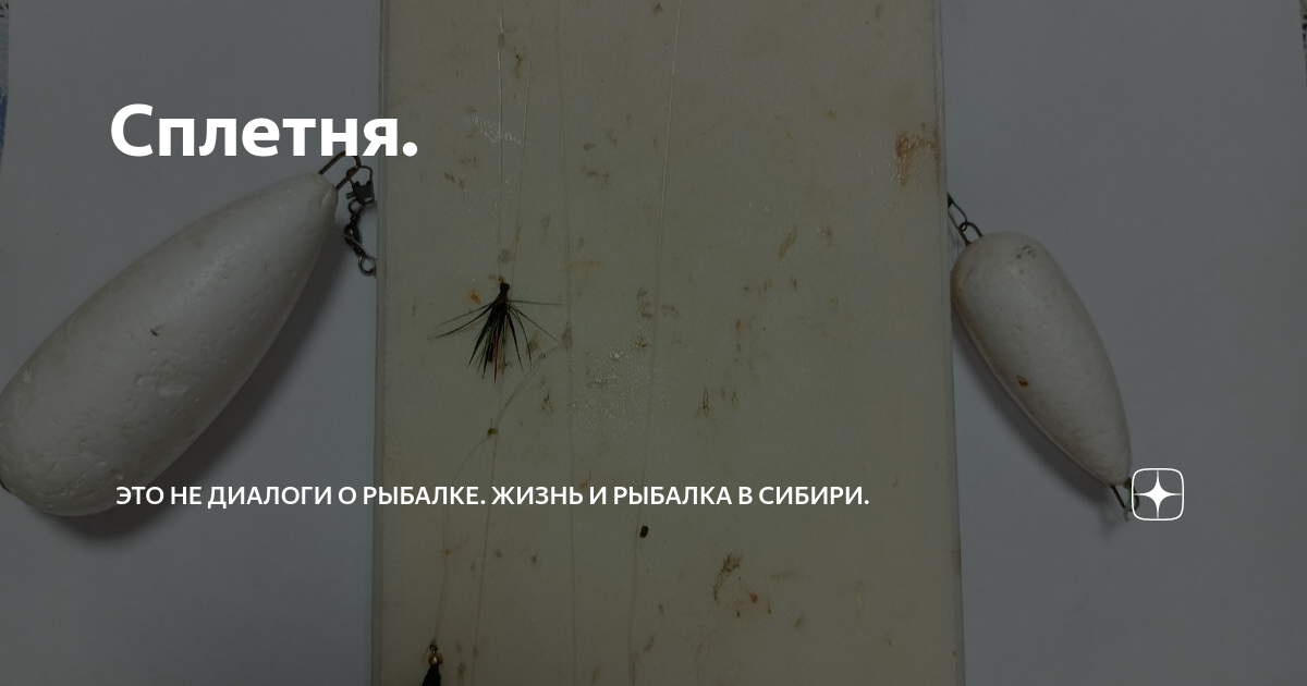Сплетня. | Это не диалоги о рыбалке. Жизнь и рыбалка в Сибири. | Дзен