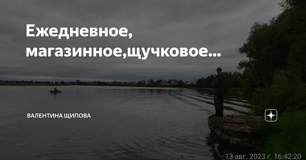 Ежедневное, магазинное,щучковое... | Валентина Щипова. Веселая жизнь в ...