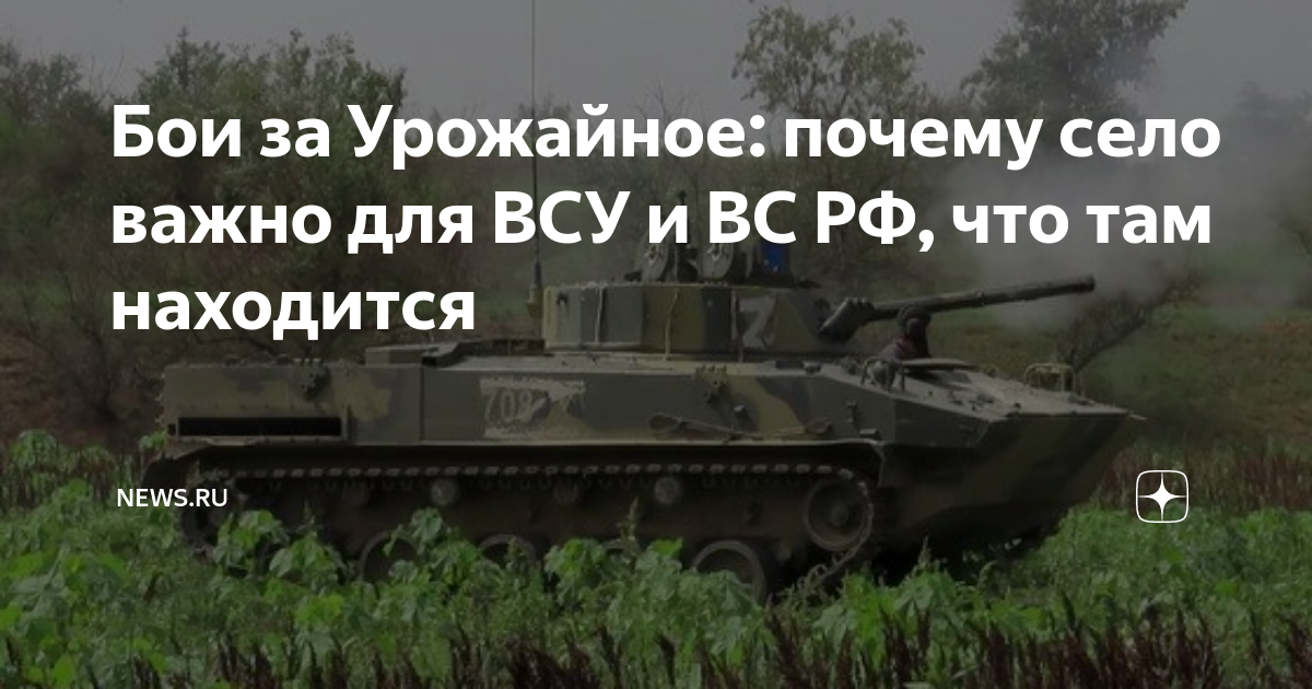 ������ �������� ����: ����.