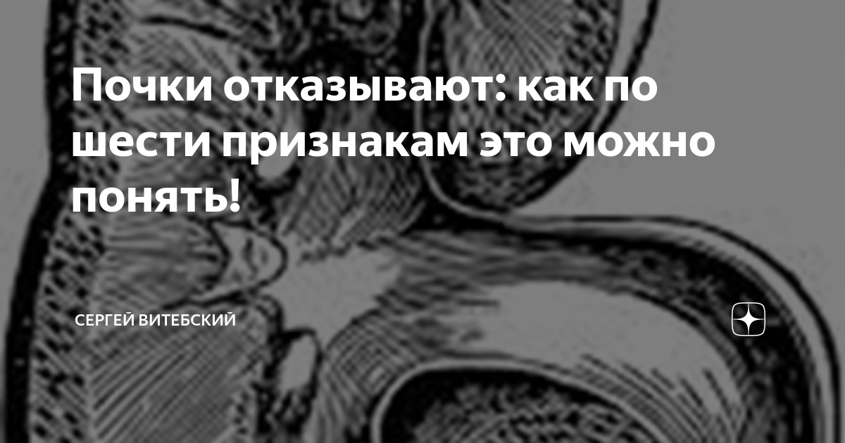 Почки отказывают: как по шести признакам это можно понять! | Сергей ...