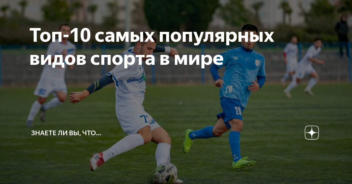 Топ-10 самых популярных видов спорта в мире | Знаете ли вы, что... | Дзен