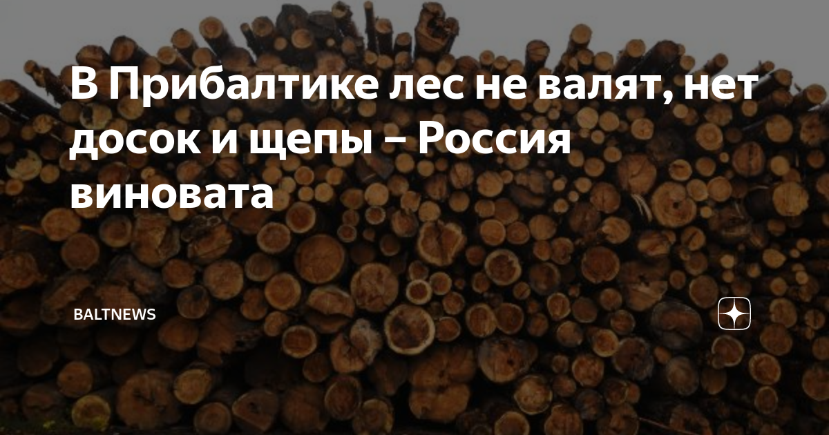 в залесье никого нет