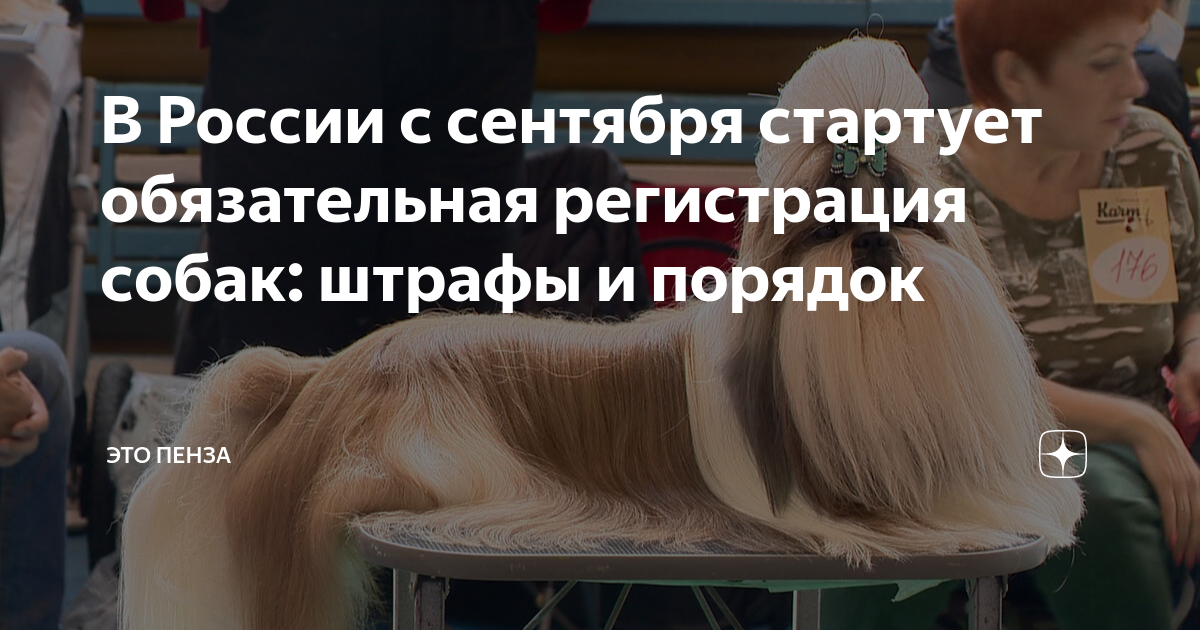 обязательная регистрация животных