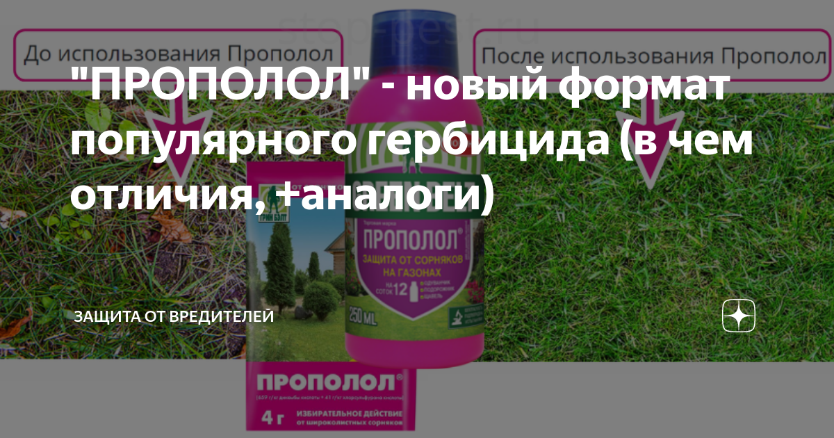 "ПРОПОЛОЛ" - новый формат популярного гербицида (в чем отличия ...