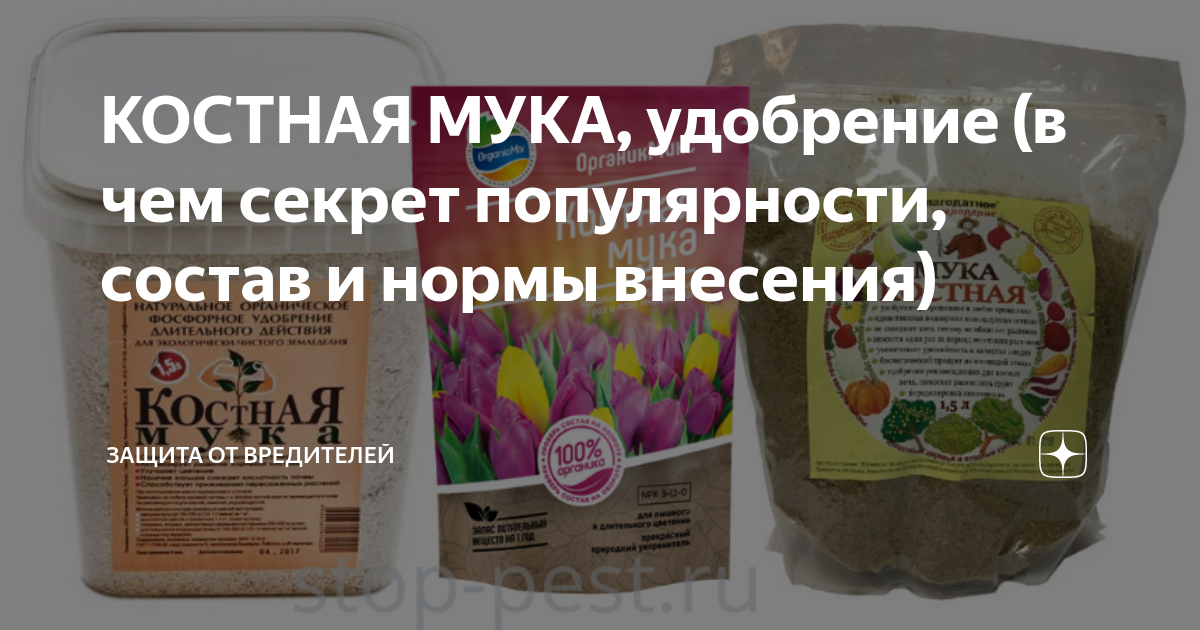 КОСТНАЯ МУКА, удобрение (в чем секрет популярности, состав и нормы ...
