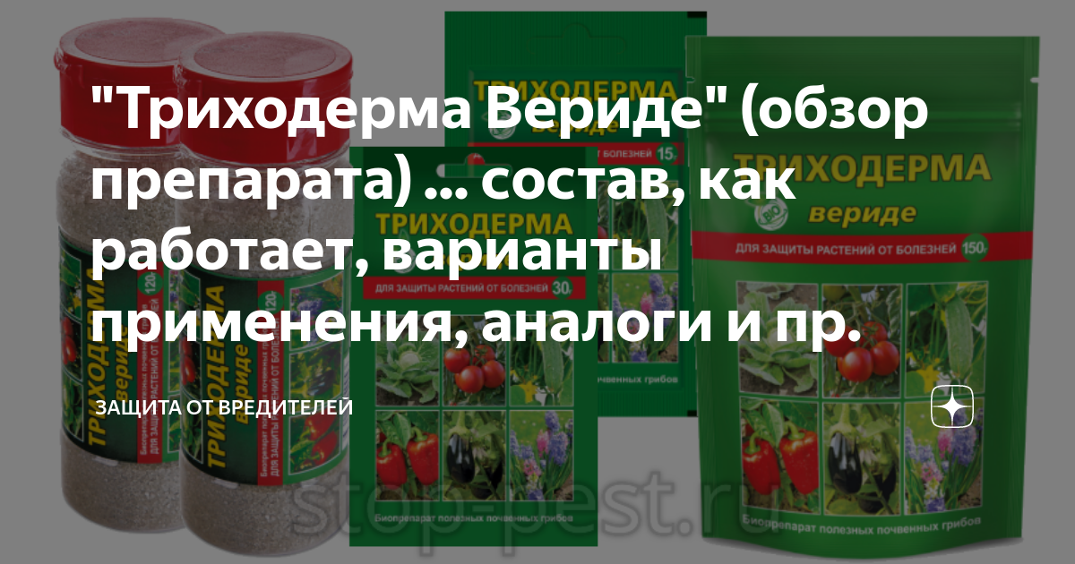 "Триходерма Вериде" (обзор препарата) ... состав, как работает ...