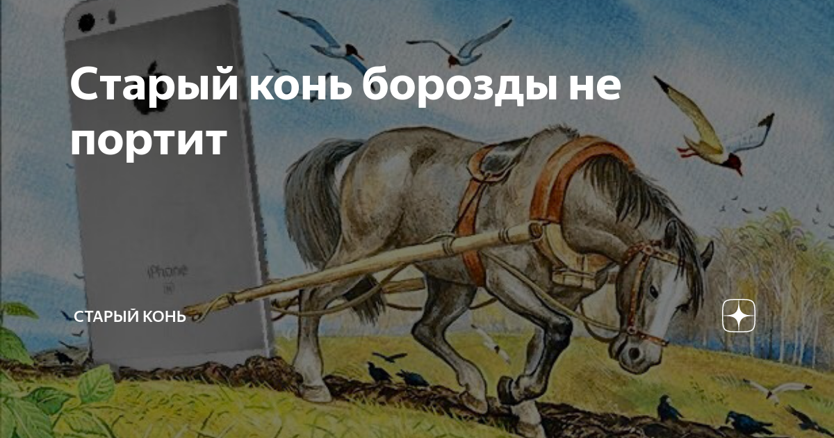 Песня старый конь борозды не. Старый конь. Конь борозды. Старая лошадь вопросы. Старый конь в бортзле карикатура.