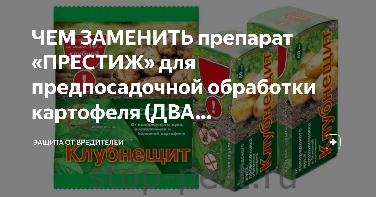 ЧЕМ ЗАМЕНИТЬ препарат «ПРЕСТИЖ» для предпосадочной обработки картофеля ...