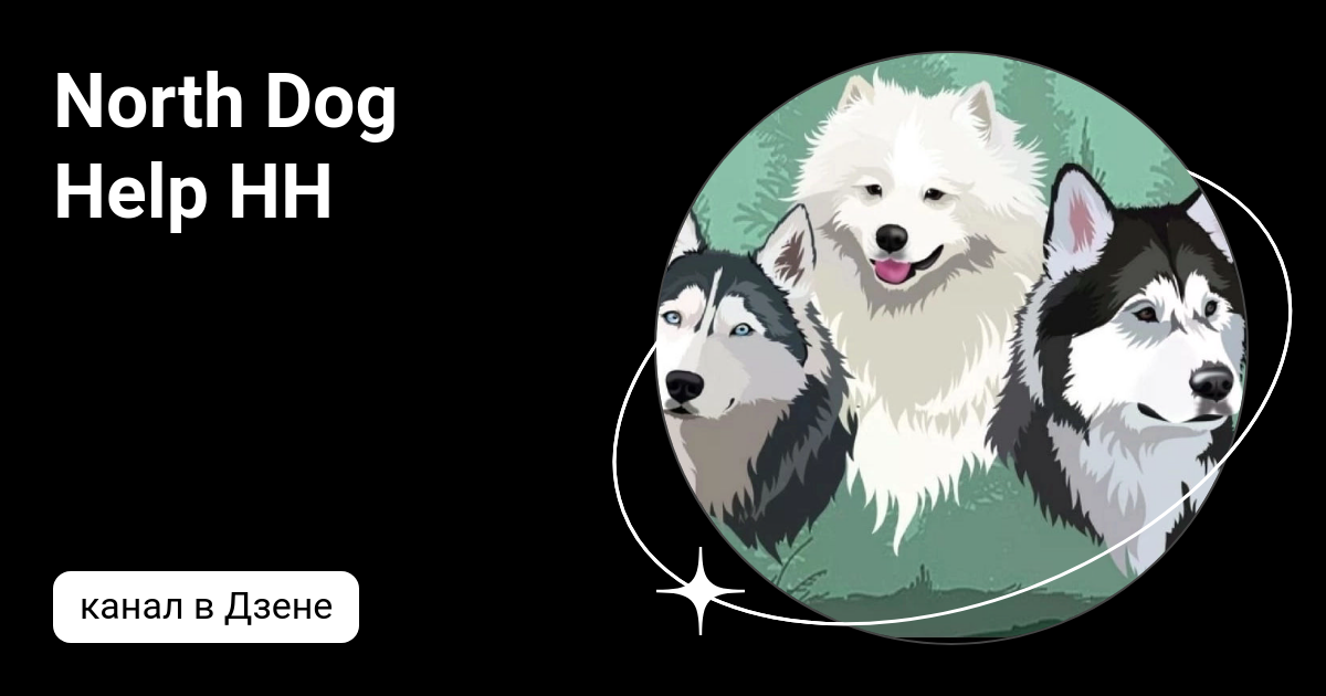 North dog