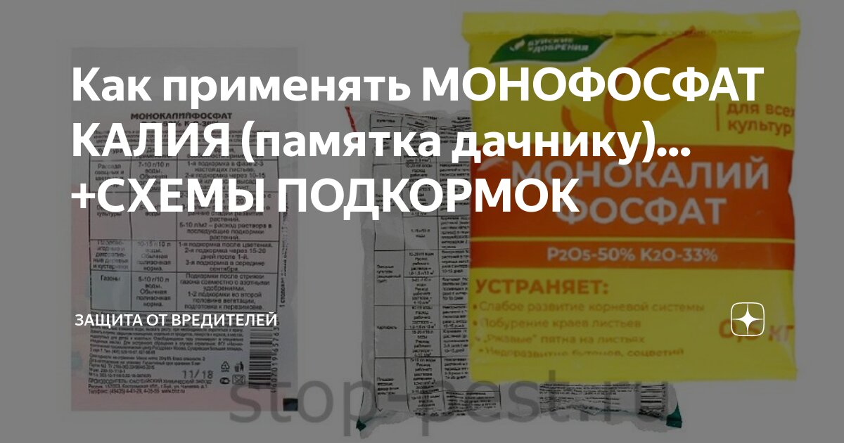 Монофосфат калия сколько в 1 ложке. Монофосфат калия для комнатных цветов. Памятка дачника. Монофосфат калия инструкция по применению для цветов комнатных. СТК карточки Тюмень