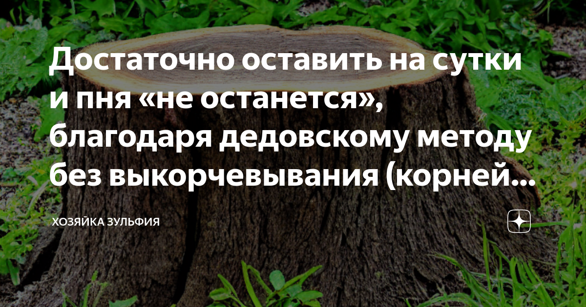 Пень не околица продолжить
