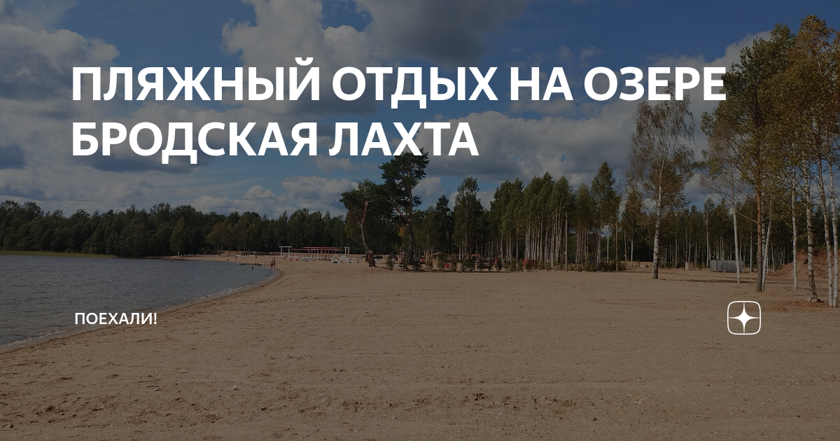 Бродская лахта новгородская. Бродская Лахта Новгородская область озеро. Бродская Лахта. Бродская Лахта пляж фото Новгородская область.