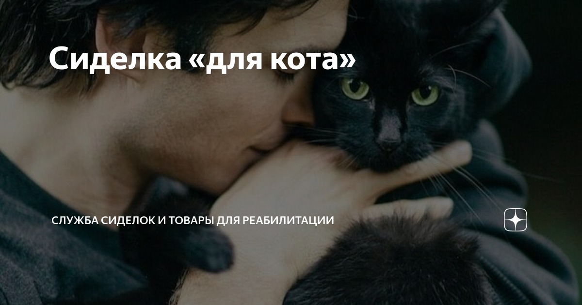 Сиделка «для кота» | Служба сиделок и товары для реабилитации | Дзен