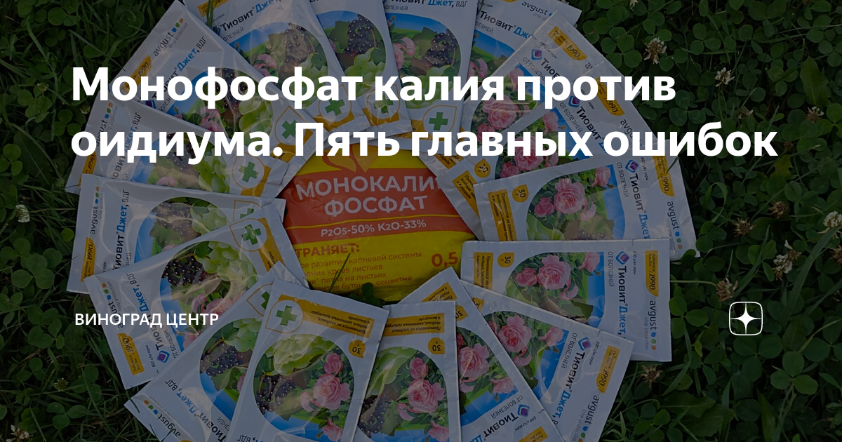 Монофосфат калия против оидиума. Пять главных ошибок | ВИНОГРАД ЦЕНТР ...
