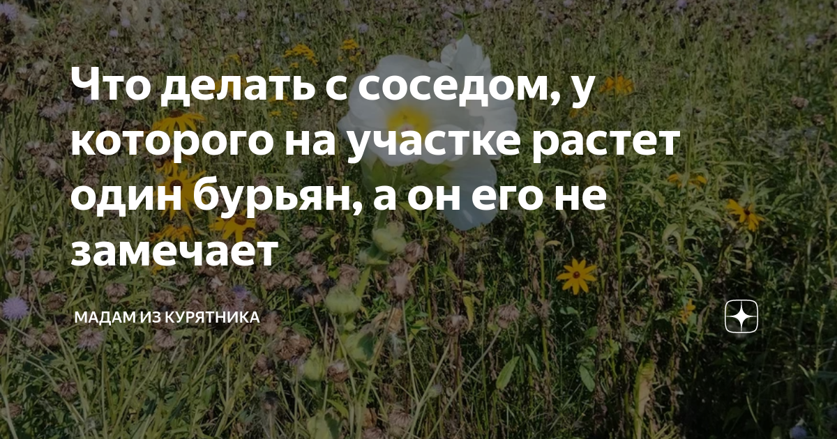 как убрать бурьян с участка