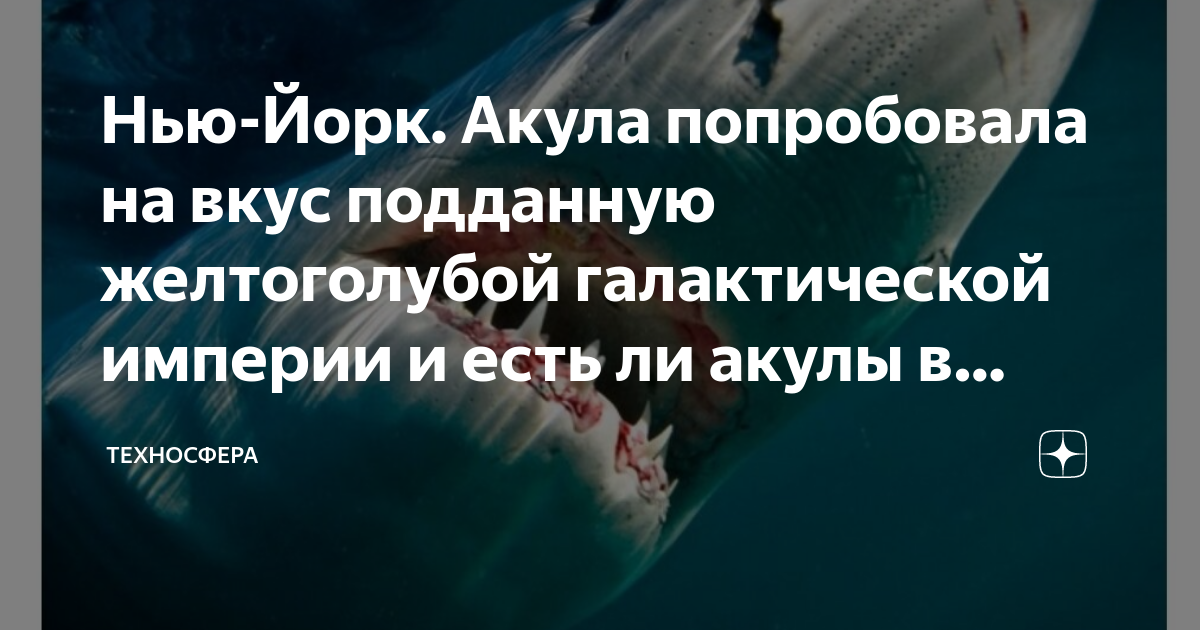 есть ли в чёрном море белая акула