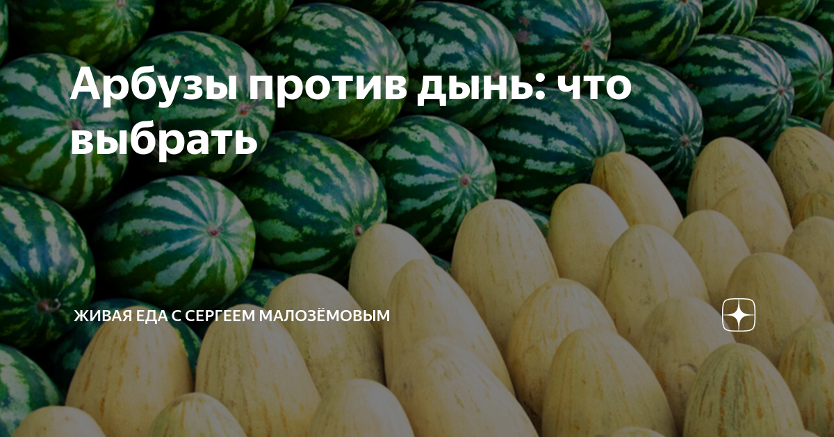 Арбузы против дынь: что выбрать | Живая Еда с Сергеем Малозёмовым | Дзен