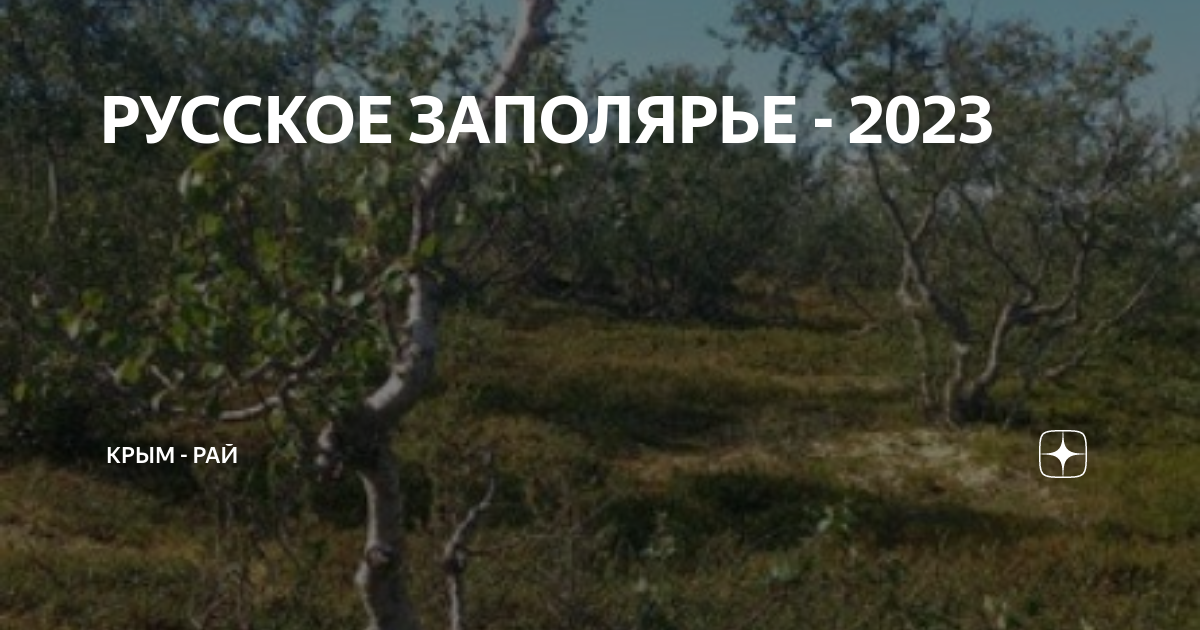 Заполярье 2023