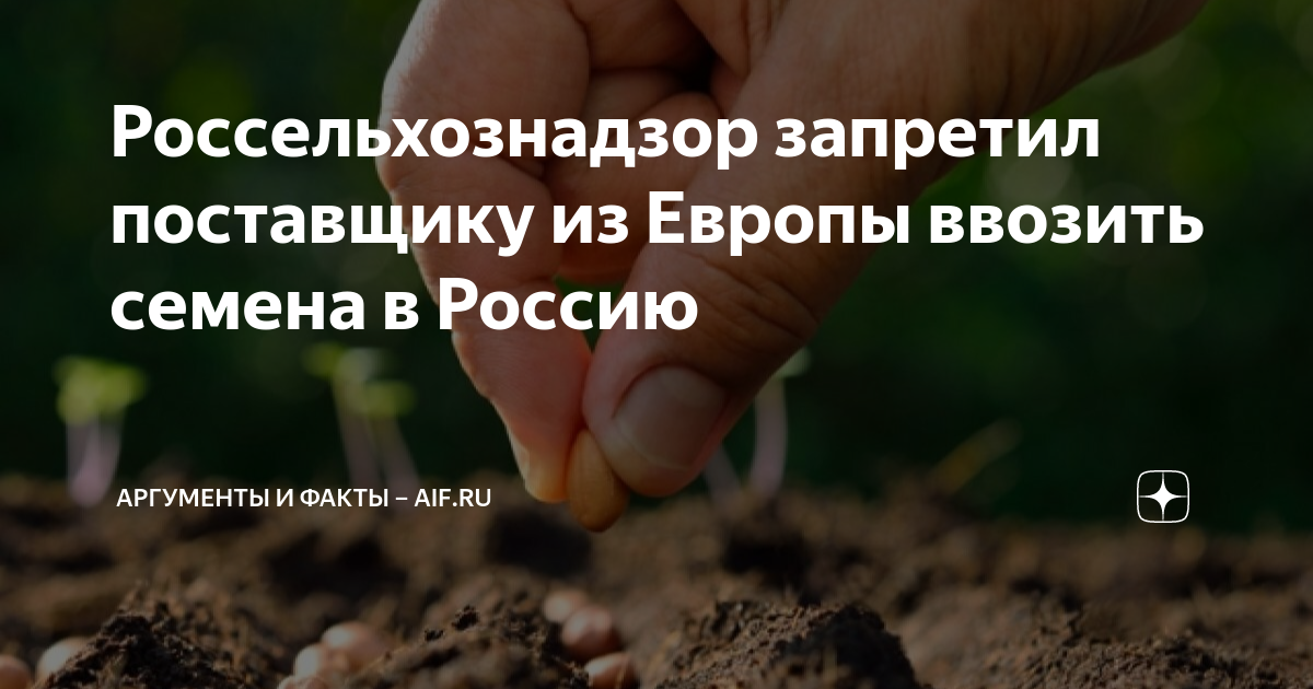 Россельхознадзор запретил поставщику из Европы ввозить семена в Россию ...