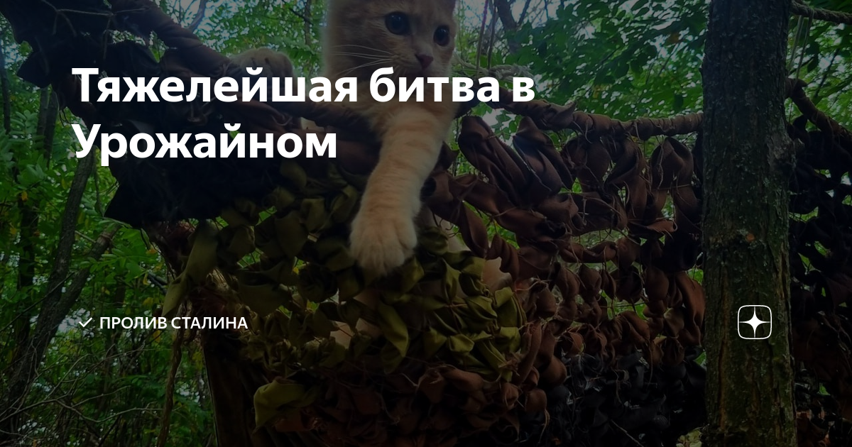 Тяжелейшая битва в Урожайном | Пролив Сталина | Дзен
