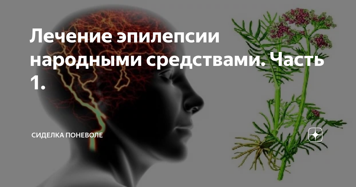 Народное лечение эпилепсии. Лечение эпилепсии народными средствами.