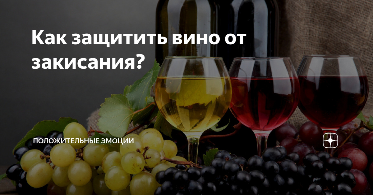 Защищенные вина. Классификация винодельческой продукции. Наука о вине. Яндекс вино. Вино за 50000 рублей
